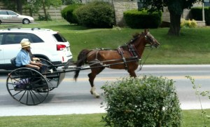 IMG_20160604_103809-1