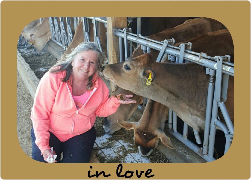 PhotoGrid_1465430946302