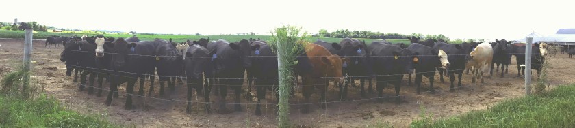 2016-08-22 16.29.30-1