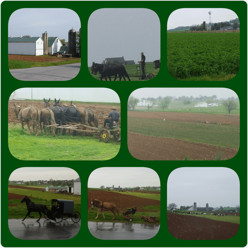 PhotoGrid_1493338987897