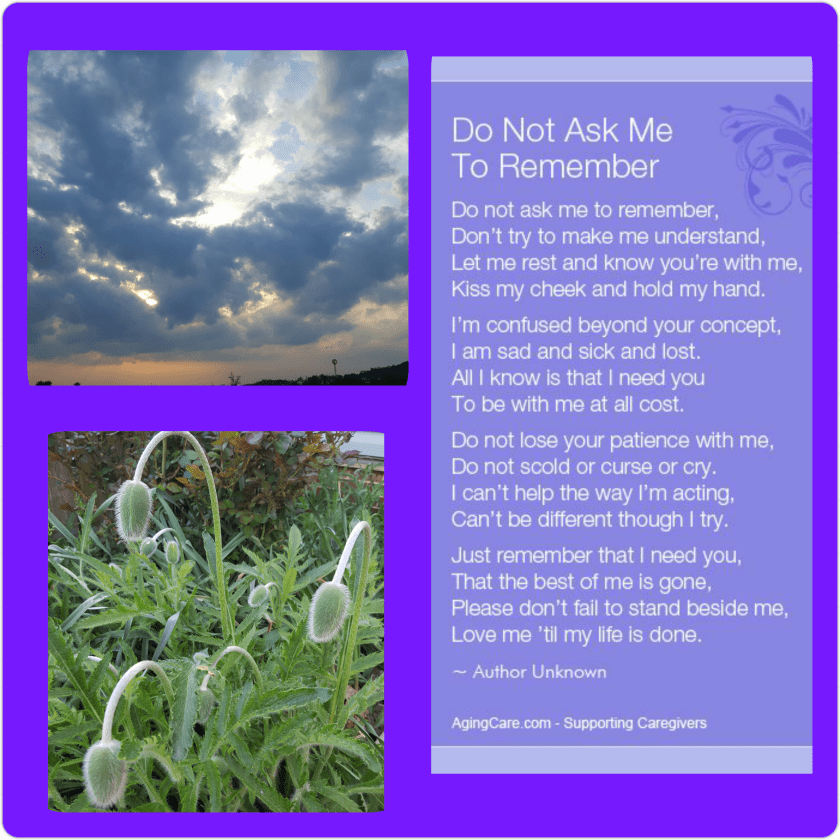 PhotoGrid_1493339786489